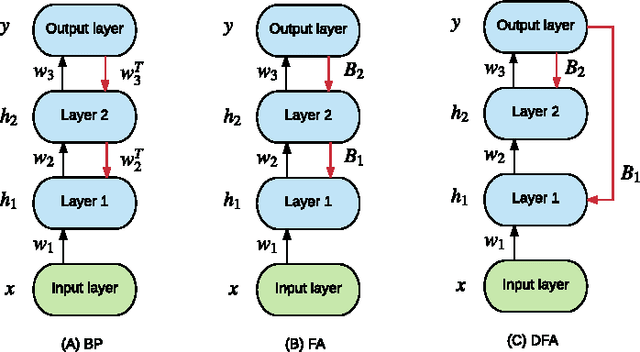 Figure 1 for Adaptive Bidirectional Backpropagation: Towards Biologically Plausible Error Signal Transmission in Neural Networks