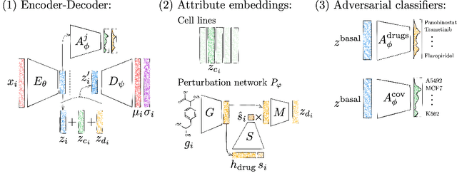 Figure 1 for Predicting single-cell perturbation responses for unseen drugs