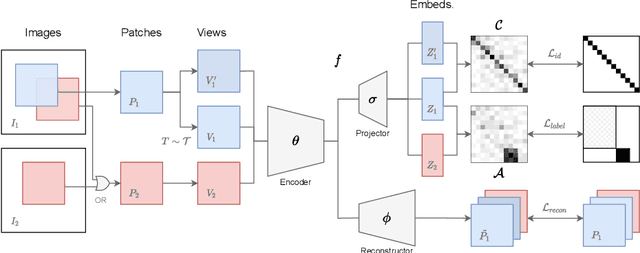 Figure 1 for MixCL: Pixel label matters to contrastive learning