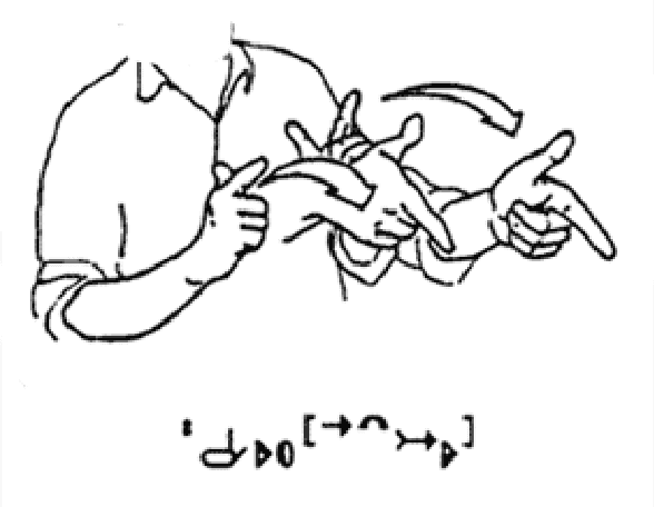 Figure 3 for A concrete example of inclusive design: deaf-oriented accessibility