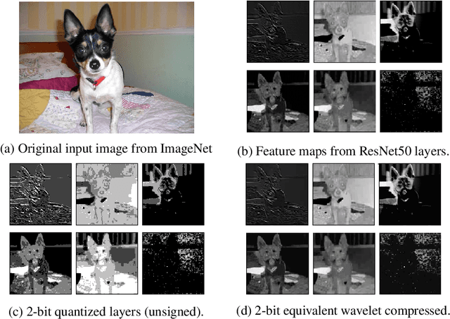 Figure 4 for Wavelet Feature Maps Compression for Image-to-Image CNNs