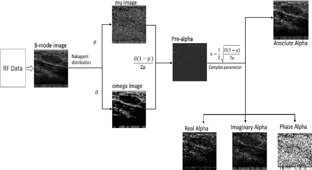 Figure 3 for Ultrasound Classification of Breast Masses Using a Comprehensive Nakagami Imaging and Machine Learning Framework