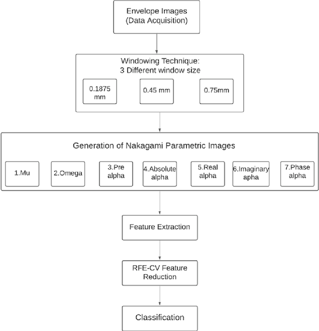 Figure 1 for Ultrasound Classification of Breast Masses Using a Comprehensive Nakagami Imaging and Machine Learning Framework