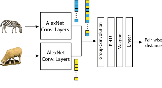 Figure 1 for Predicting population neural activity in the Algonauts challenge using end-to-end trained Siamese networks and group convolutions