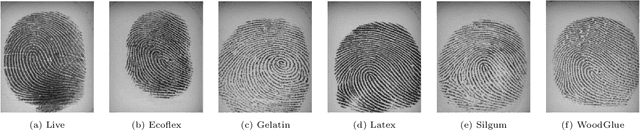 Figure 1 for EaZy Learning: An Adaptive Variant of Ensemble Learning for Fingerprint Liveness Detection