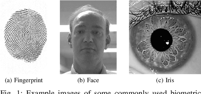 Figure 1 for Signal-level Fusion for Indexing and Retrieval of Facial Biometric Data