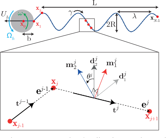 Figure 2 for Control of uniflagellar soft robots at low Reynolds number using buckling instability