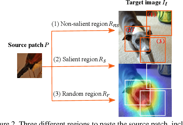 Figure 3 for ResizeMix: Mixing Data with Preserved Object Information and True Labels