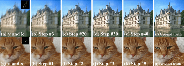 Figure 3 for Learning an Optimizer for Image Deconvolution