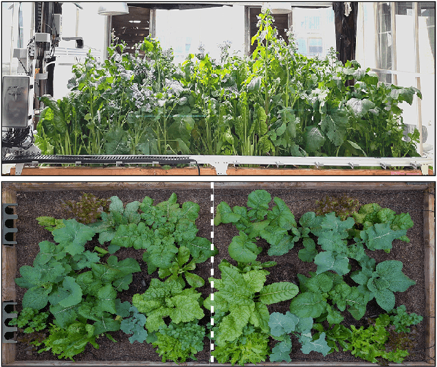Figure 1 for AlphaGarden: Learning to Autonomously Tend a Polyculture Garden