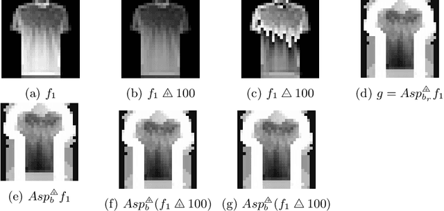 Figure 3 for Logarithmic Morphological Neural Nets robust to lighting variations