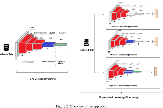 Figure 3 for Hybrid BYOL-ViT: Efficient approach to deal with small datasets