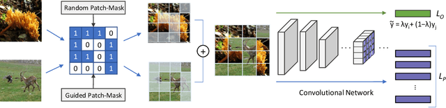 Figure 3 for Evolving Image Compositions for Feature Representation Learning