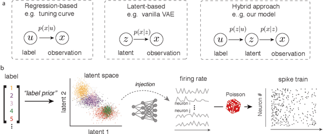 Figure 1 for Learning identifiable and interpretable latent models of high-dimensional neural activity using pi-VAE