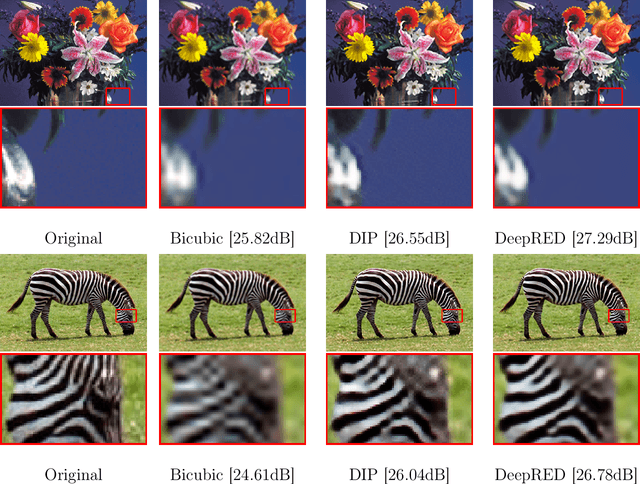 Figure 3 for DeepRED: Deep Image Prior Powered by RED