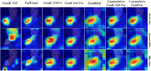 Figure 1 for Rethinking Positive Aggregation and Propagation of Gradients in Gradient-based Saliency Methods