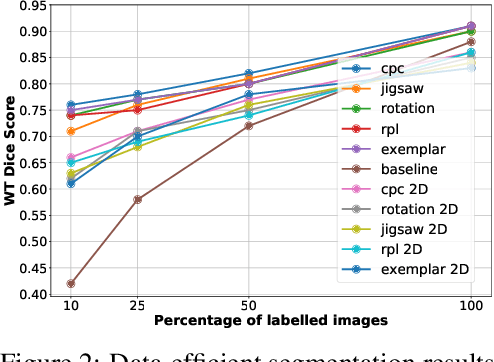 Figure 3 for 3D Self-Supervised Methods for Medical Imaging