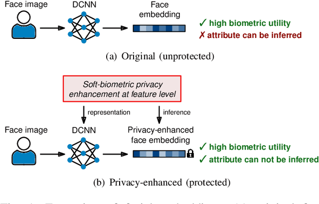 Figure 1 for An Attack on Feature Level-based Facial Soft-biometric Privacy Enhancement