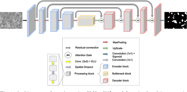 Figure 1 for Deep learning based domain adaptation for mitochondria segmentation on EM volumes