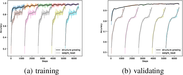 Figure 1 for Juvenile state hypothesis: What we can learn from lottery ticket hypothesis researches?