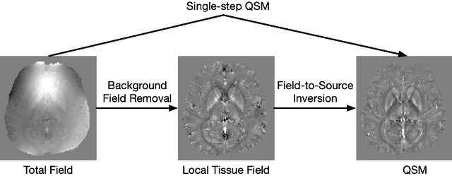 Figure 1 for Improved Padding in CNNs for Quantitative Susceptibility Mapping