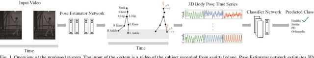 Figure 1 for Automatic Health Problem Detection from Gait Videos Using Deep Neural Networks