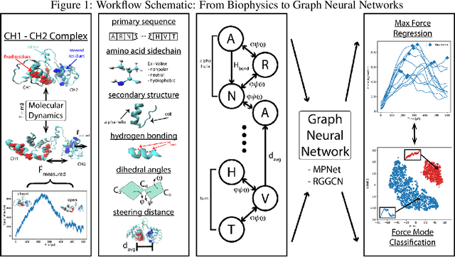 Figure 1 for ProDyn0: Inferring calponin homology domain stretching behavior using graph neural networks
