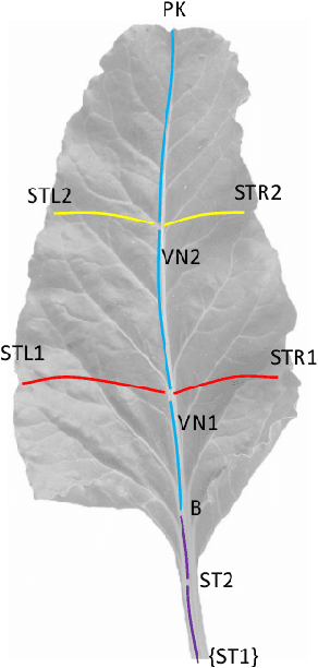 Figure 2 for Automatic Model Based Dataset Generation for Fast and Accurate Crop and Weeds Detection