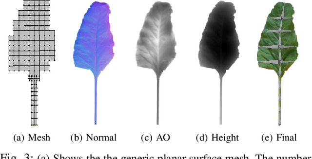 Figure 3 for Automatic Model Based Dataset Generation for Fast and Accurate Crop and Weeds Detection
