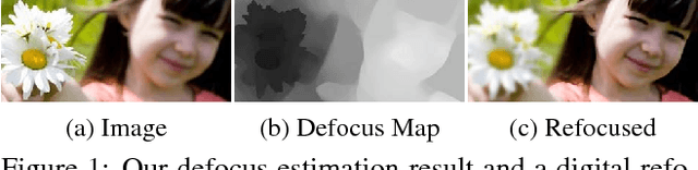 Figure 1 for A Unified Approach of Multi-scale Deep and Hand-crafted Features for Defocus Estimation