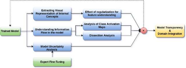 Figure 1 for Demystifying Brain Tumour Segmentation Networks: Interpretability and Uncertainty Analysis