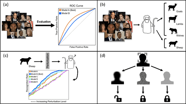 Figure 1 for Visual Psychophysics for Making Face Recognition Algorithms More Explainable