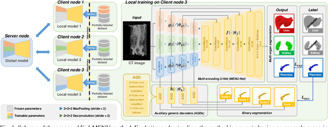 Figure 1 for Federated Multi-organ Segmentation with Partially Labeled Data