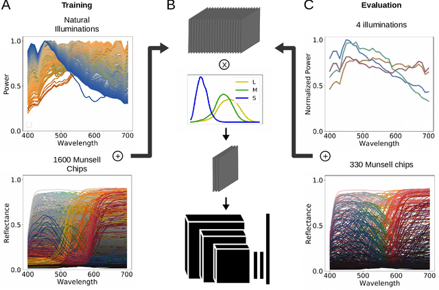 Figure 1 for Deep Neural Models for color discrimination and color constancy