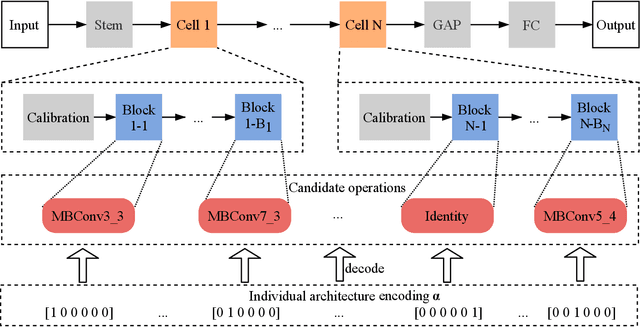 Figure 1 for Efficient Multi-objective Evolutionary 3D Neural Architecture Search for COVID-19 Detection with Chest CT Scans
