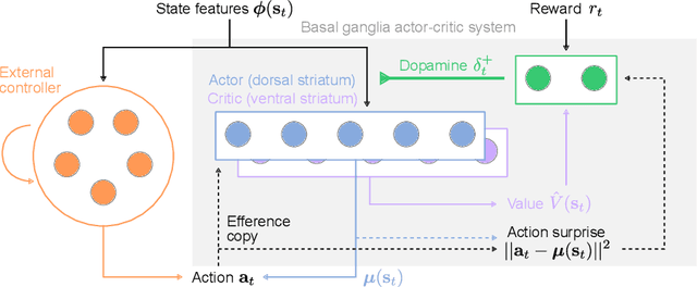 Figure 1 for Action-modulated midbrain dopamine activity arises from distributed control policies