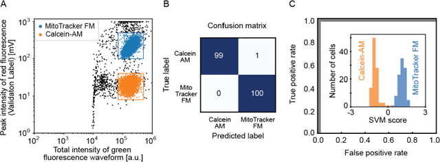 Figure 2 for Use of Ghost Cytometry to Differentiate Cells with Similar Gross Morphologic Characteristics