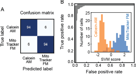 Figure 4 for Use of Ghost Cytometry to Differentiate Cells with Similar Gross Morphologic Characteristics