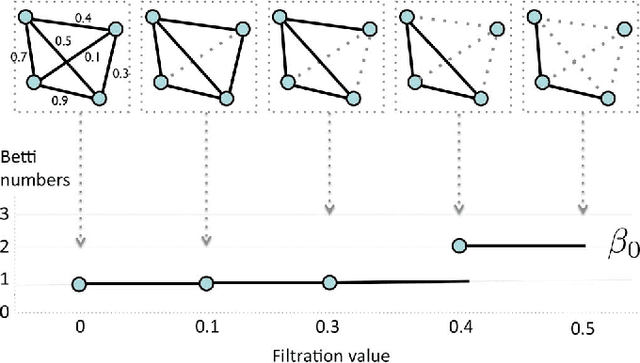Figure 1 for Persistent Homology in Sparse Regression and Its Application to Brain Morphometry