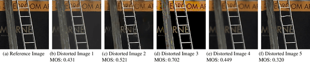 Figure 1 for Multi-Scale Features and Parallel Transformers Based Image Quality Assessment