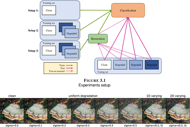 Figure 2 for Learning degraded image classification with restoration data fidelity