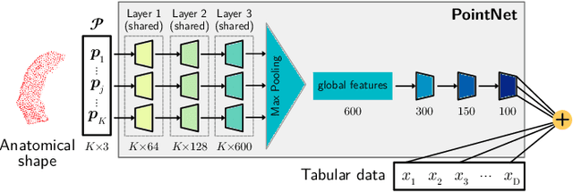 Figure 1 for Scalable, Axiomatic Explanations of Deep Alzheimer's Diagnosis from Heterogeneous Data