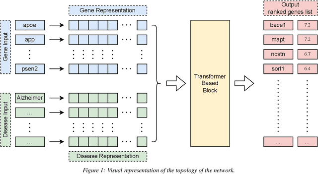 Figure 1 for DeepProphet2 -- A Deep Learning Gene Recommendation Engine