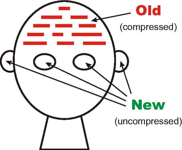 Figure 1 for The SP theory of intelligence: an overview