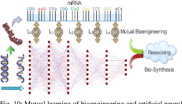 Figure 2 for Neuro-Symbolic Learning: Principles and Applications in Ophthalmology