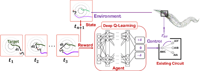 Figure 1 for Deep Reinforcement Learning for Neural Control