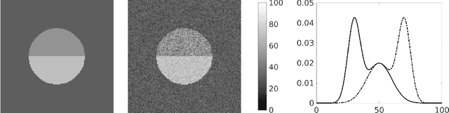 Figure 1 for Active Mean Fields for Probabilistic Image Segmentation: Connections with Chan-Vese and Rudin-Osher-Fatemi Models