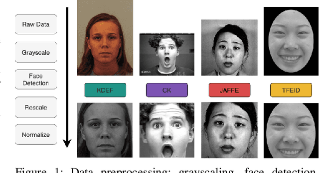 Figure 1 for Domain Adaptation for Facial Expression Classifier via Domain Discrimination and Gradient Reversal