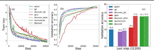 Figure 2 for Variance Reduction in Deep Learning: More Momentum is All You Need