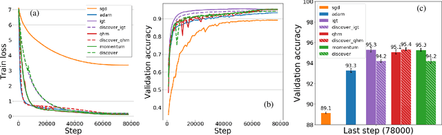 Figure 3 for Variance Reduction in Deep Learning: More Momentum is All You Need